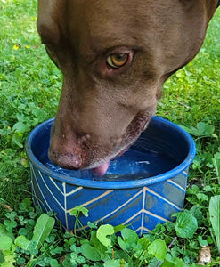 Dog Bowl in Lapis Blue  Chevron Pattern