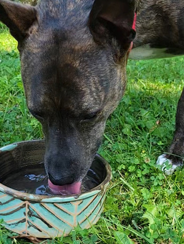 Dog Bowl in Turquoise Chevron Pattern