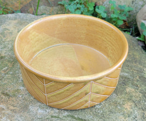 Dog Bowl in Yellow Ochre Chevron Pattern