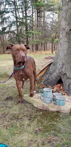'Camp' Mugs in Turquoise Chevron Pattern with Lavender Blush